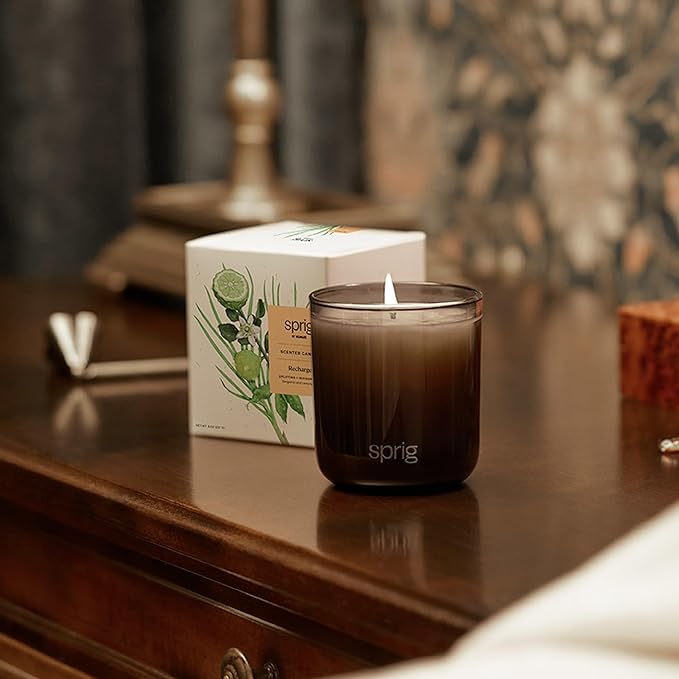 Sprig by Kohler Scented Candle, Recharge, 8 oz
