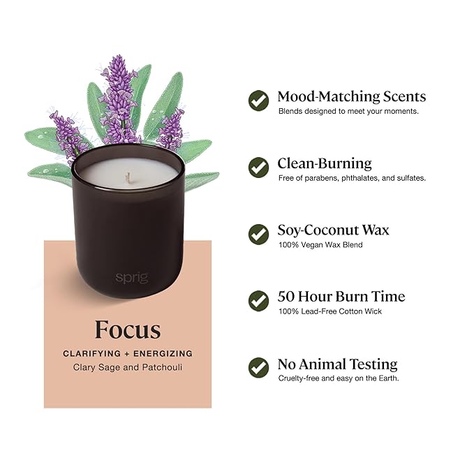 Sprig by Kohler Scented Candle, Focus, 8 oz