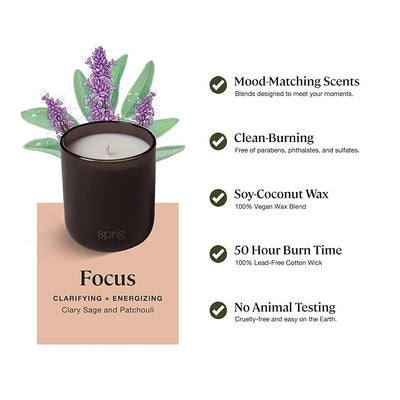 Sprig by Kohler Scented Candle, Focus, 8 oz