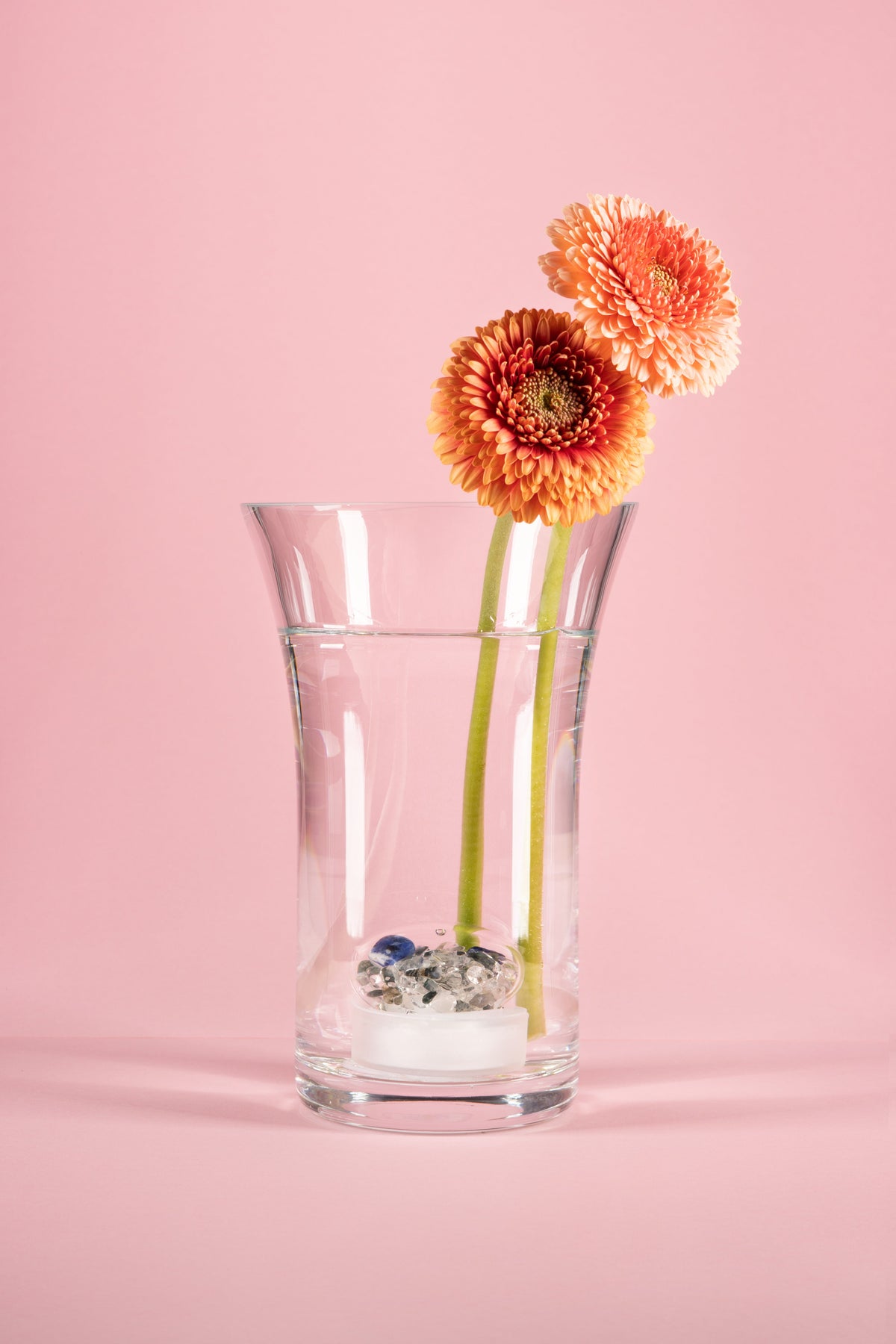 VitaJuwel Crystal Flower Vase, Flora